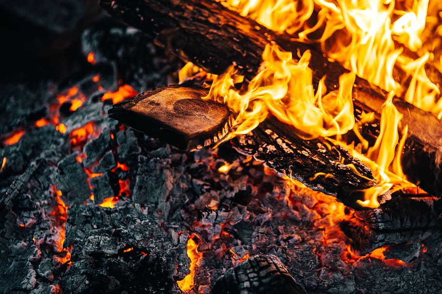 férias, câmera, ao ar livre, natureza, fora, fogo, chamas, madeiras, fogueira, cinzas