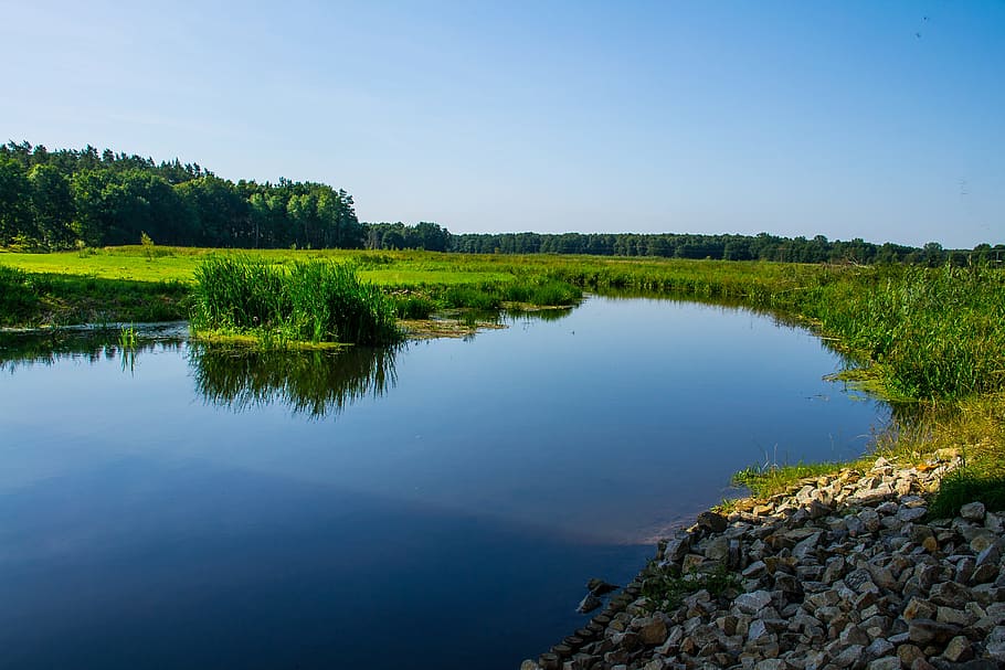 river landscape, bank, reed, mecklenburg, blue, sky, water, reflection, tranquility, lake