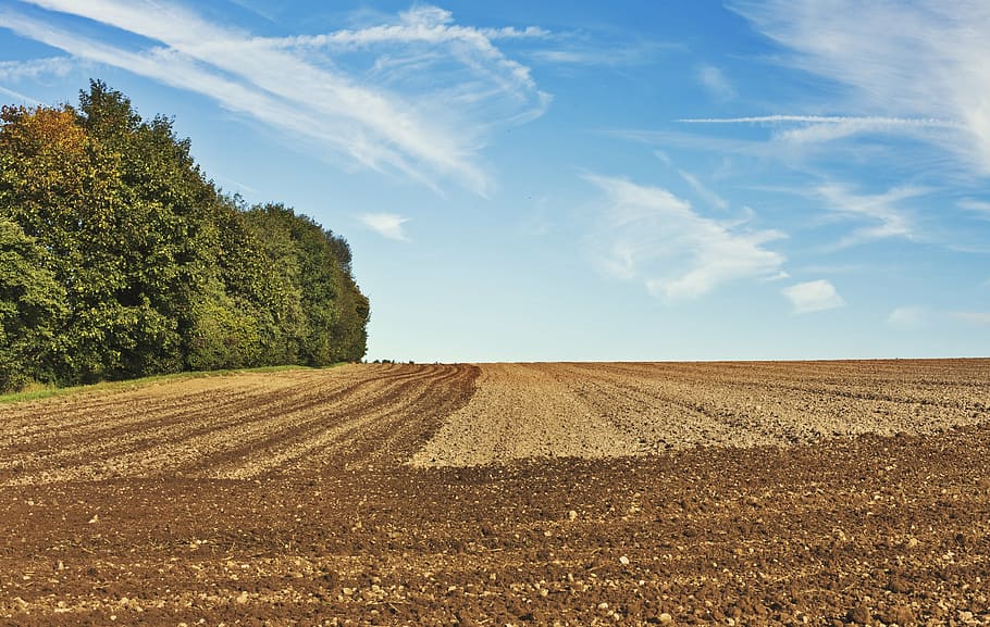 brown, soil field, cloudy, sky, daytime, arable, agriculture, agricultural tractor, agricultural, agro photo