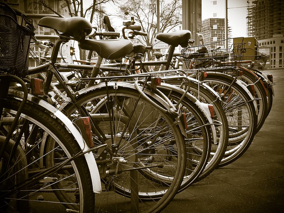 gray, cruiser bikes, parked, bicycles, bike, wheels, turned off, park, cycling, two wheeled vehicle
