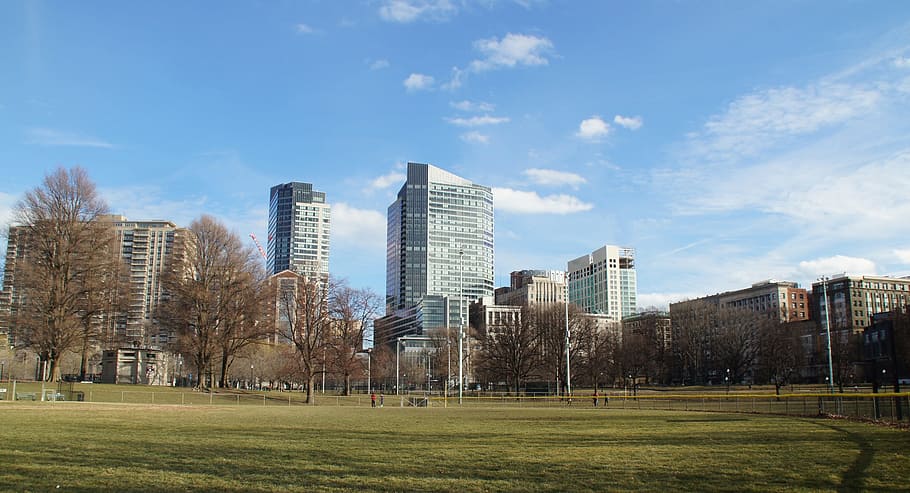 high-rise, building, blue, white, sky, daytime, Boston, Massachusetts, boston, massachusetts, park