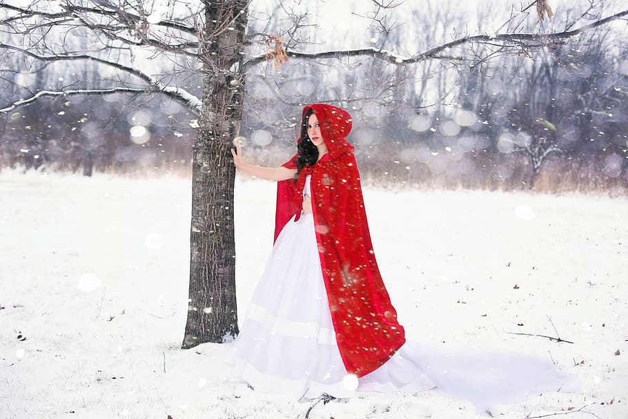 fotografia, vermelho, montando, capuz, campo de neve, mulher, bonita, feliz, menina, inverno