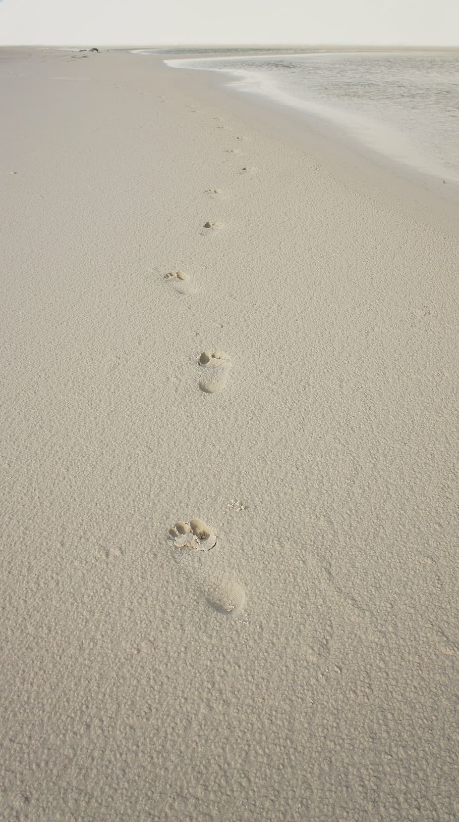 footprints, sand, foot, beira mar, beach, land, footprint, track - imprint, water, sea