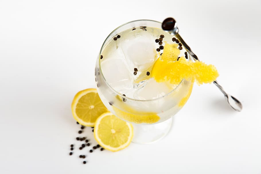gin, cocktail, lemon, glass, cold, ice, food, drink, orange, citrus