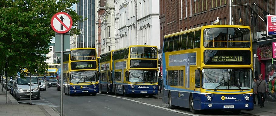 buses, transport, wheels, the driver of the, the vehicle, move, communication, public, cars, car