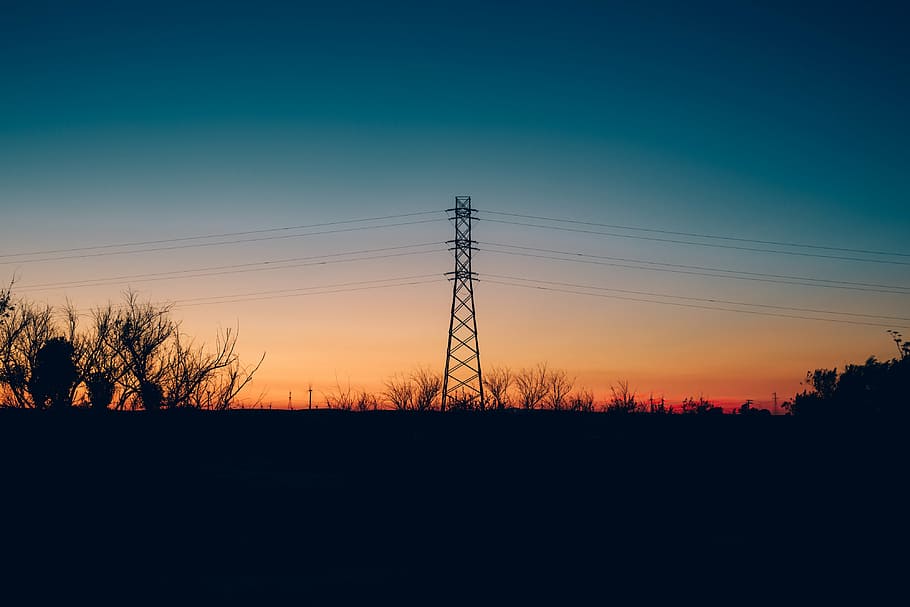 silhouette, electric, tower, golden, hour, tree, plant, branch, dark, sunset
