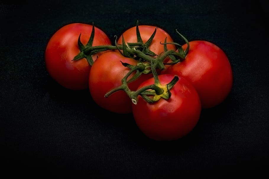 tomatoes, trusses, bush tomatoes, vegetables, healthy, fresh, vegan, vitamins, panicle, ripe
