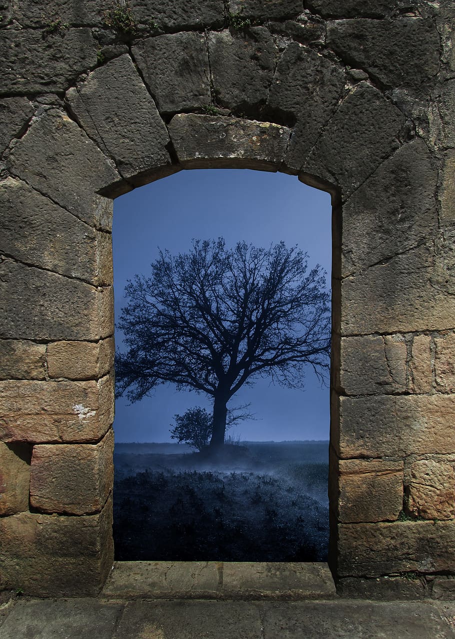 arch, tree, fog, stone wall, wall house, wall, medieval, the medieval castle, stone, gate