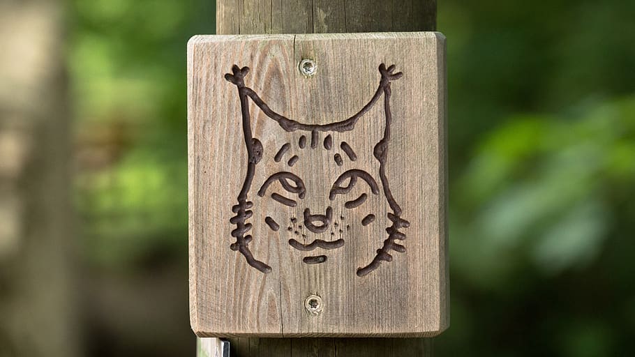 lynx, signpost, waypost, waymark, wood, wooden, hiking, direction, nature, trail