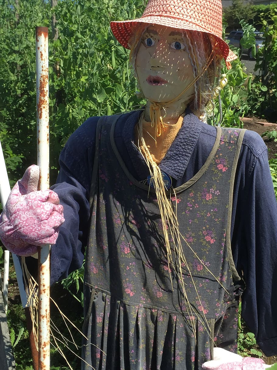 scarecrow, garden, gardening, day, real people, plant, one person, nature, representation, human representation