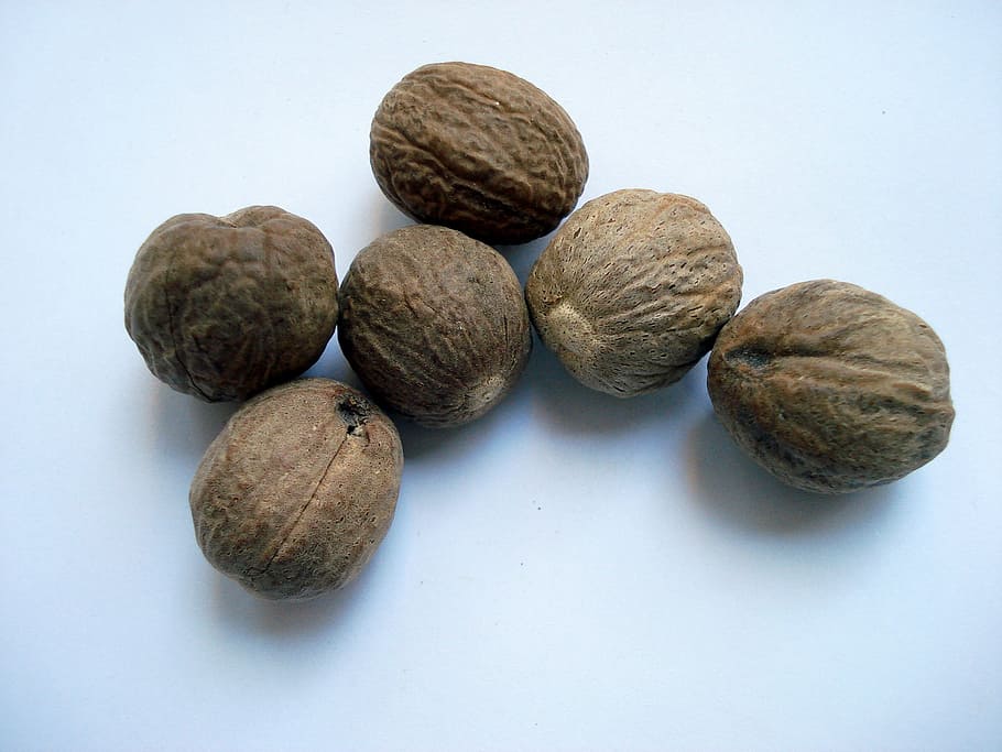 six, brown, nuts, white, surface, nutmeg, muskat, food, fruit, nature