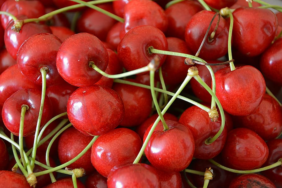 pile, red, cherries, fruit, garden, cherry, red fruits, harvest, collection, fruit tree