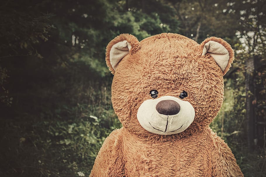 life-size, brown, bear, plush, toy, standing, outdoor, brown bear, plush toy, nature