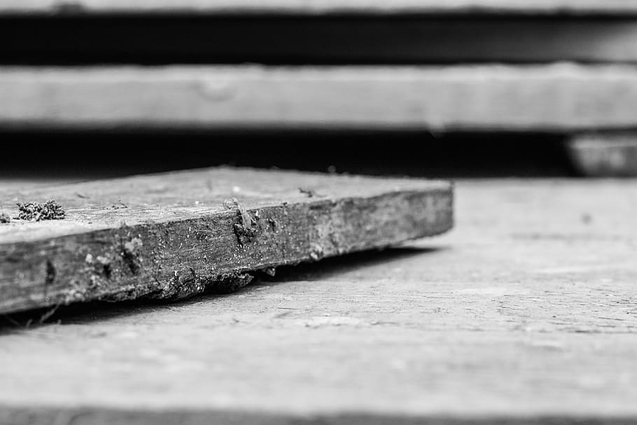 workplace, wood, black, work, atmosphere, architecture, building, depth of sharpness, leaves, gray
