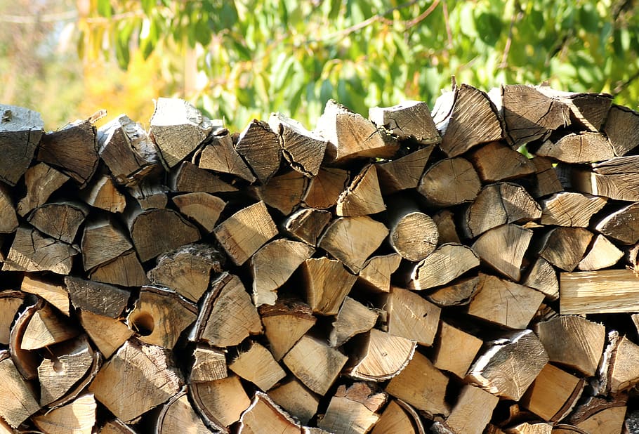 wood, tree, fuel, firewood, pile of wood, stocks for the winter, nature, autumn, season, log