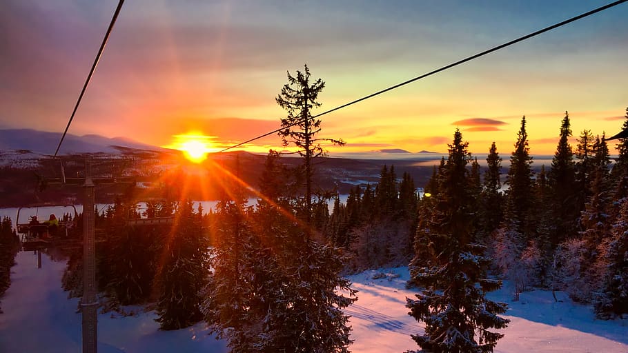 christmas, winter, skiing, ski lift, sunset, sunrise, forest, ski slopes, snow, cold