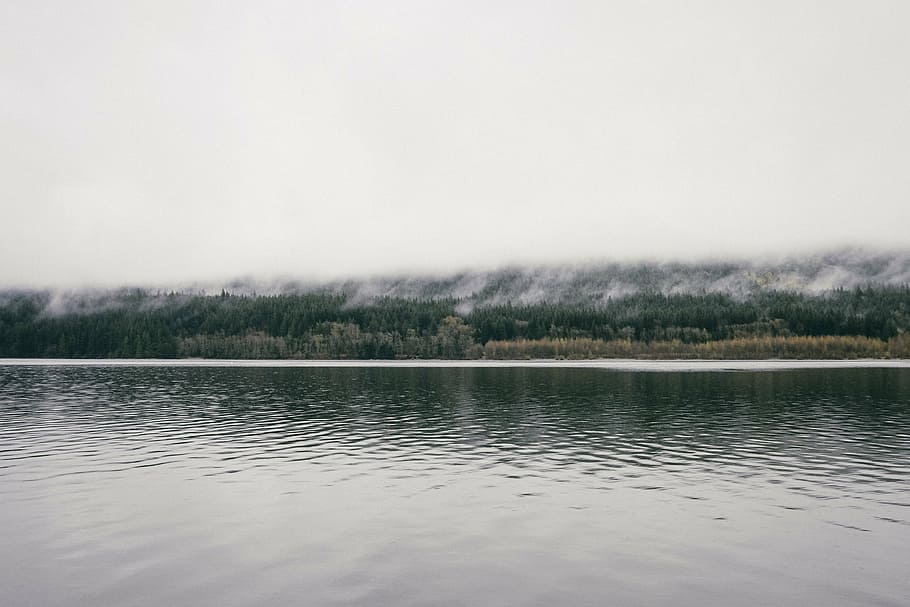body, water, trees, photograph, lake, nature, sky, foggy, tranquility, day