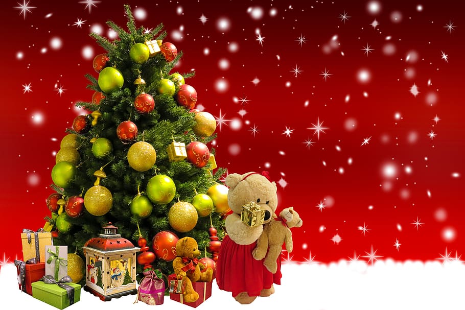 background, christmas, christmas tree, gifts, surprise, teddy bear, christmas greeting, christmas time, lantern, christmas ornaments