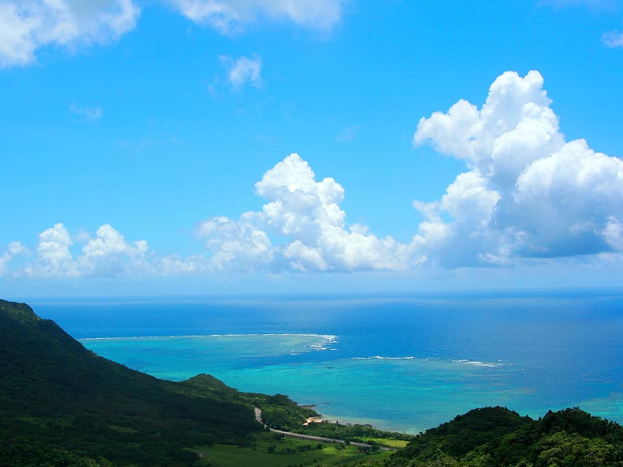 green, grassland, white, cloudy, sky, Ishigaki Island, Coral Reefs, Leaf, Sea, pacific