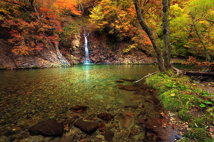 paisaje, torrente, agua de manantial, una pequeña cascada, otoño, hojas otoñales, 赤 石川, shirakami-sanchi, región del patrimonio mundial, prefectura de aomori