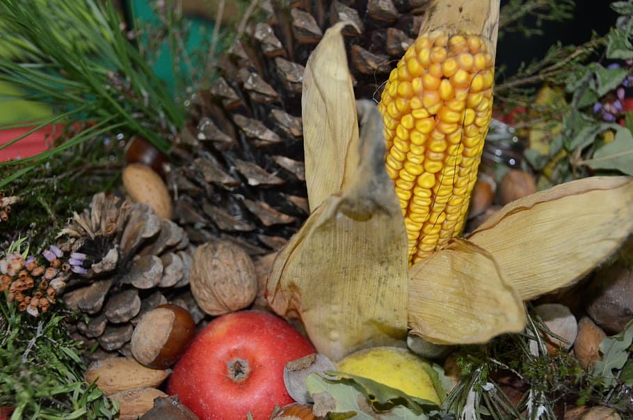 autumn, center, fruits, food, food and drink, vegetable, healthy eating, nature, plant, corn