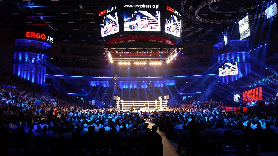 anel de boxe, gdansk, polônia, arena, local de esportes, arquitetura, iluminação, luzes, fãs, espectadores