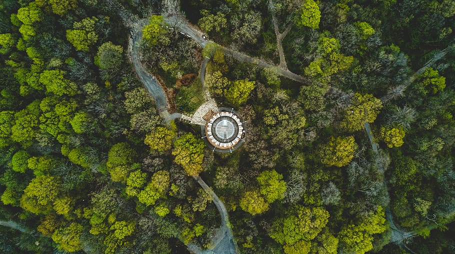 high, angle photography, tower, green, trees, plant, nature, forest, aerial, view