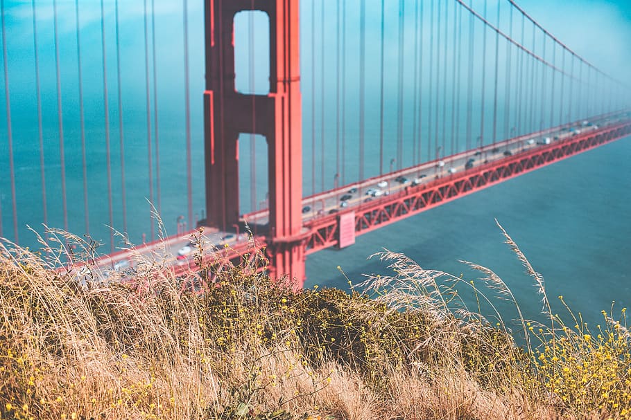 Golden Gate Bridge, hierba, fondo, arquitectura, batería Spencer, borrosa, puente, California, océano, espacio para texto
