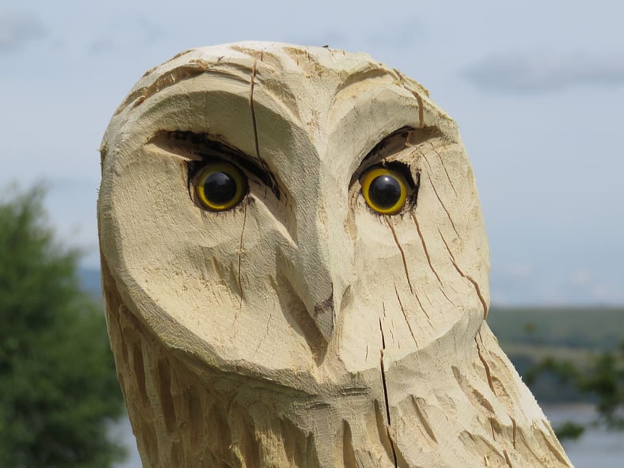 carved owl, wise, wood, owl, carving, wisdom, nature, beak, carved, bird