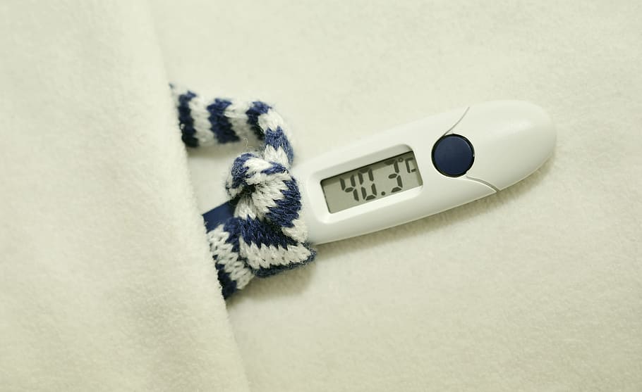 white, thermometer reading, 40.3, fever, fever thermometer, temperature, ill, bed rest, bless you, medical