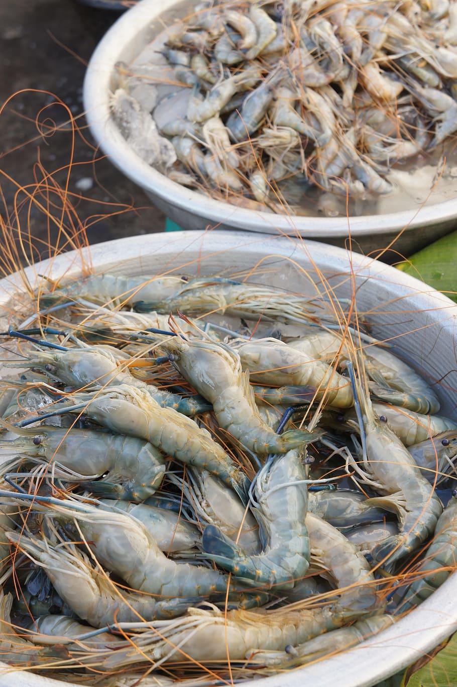 Crabs, Market, Meat, Food, Eat, fish market, farmers local market, sell, burma, myanmar