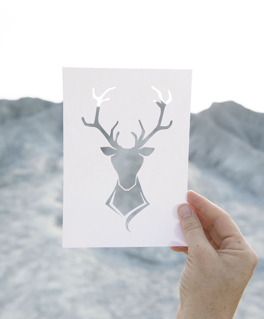 person, holding, deer-themed card, craft, mountain, paper, tranquil scene, wildlife, travel, recreation