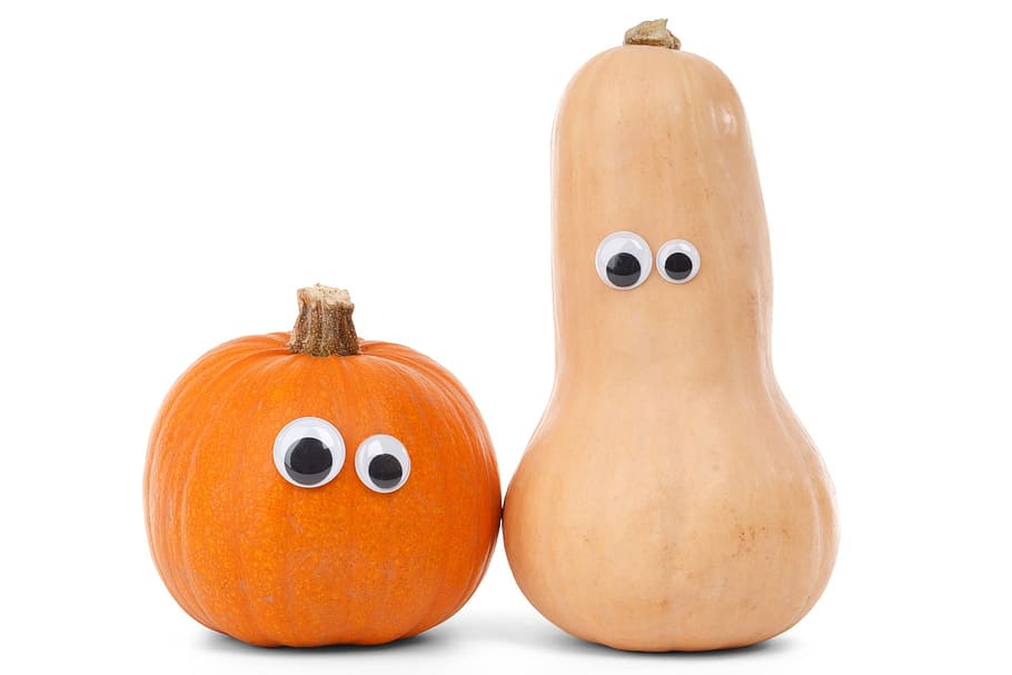 two, squash, gourd toys, autumn, fall, food, fresh, gourd, halloween, harvest
