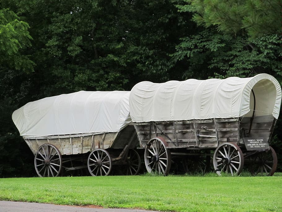 covered wagons, transportation, historical, old, canvas, antique, pioneer, vintage, wood, rustic