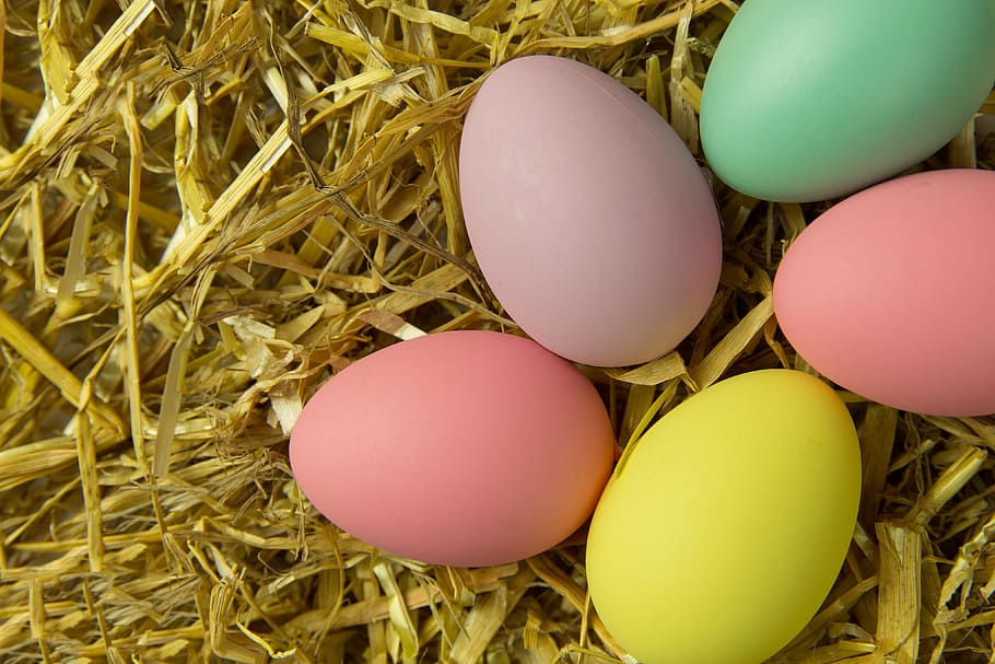 tembakan, Overhead, telur Paskah yang berwarna-warni, beragam, paskah, telur, telur hewan, makanan, alam, rumput