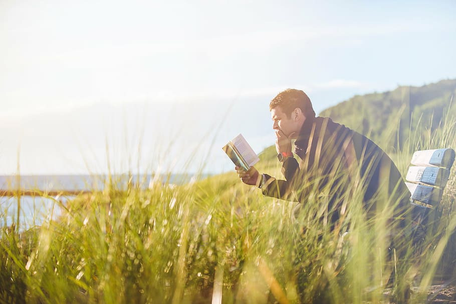 man, sitting, bench, holding, book, reading, outdoor, middle, grassfield, blue