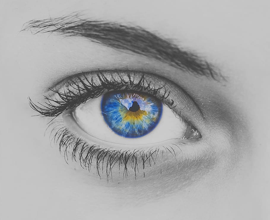女性の目のスケッチ, 目, 青, まつげ, 眼球, 視力, 眉, ビジョン, 女性, 閉じる