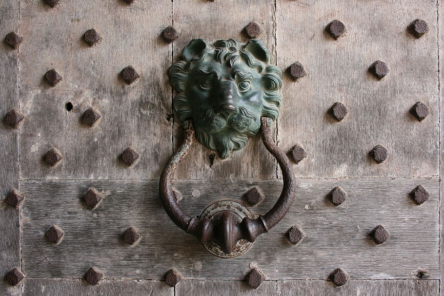 knocker, lion, door, leeds castle, creativity, wood - material, art and craft, door knocker, close-up, representation