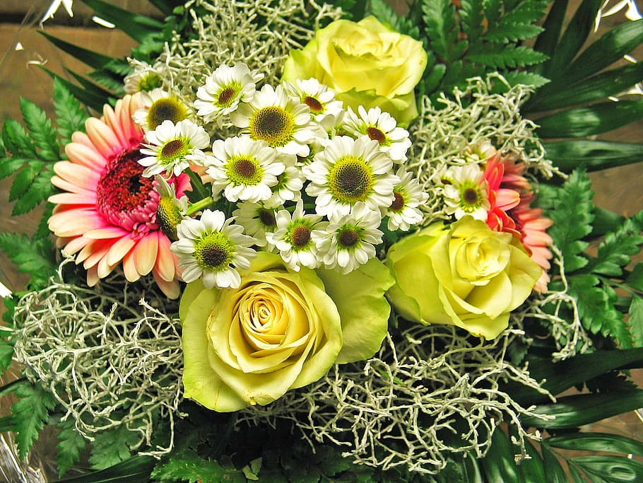 closeup, foto, kuning, mawar, bunga, pink, bunga daisy gerbera, putih, karangan bunga daisy, karangan bunga