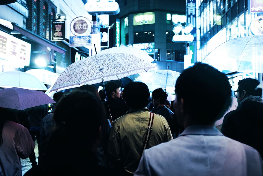 gente, multitud, asiático, hombres, mujeres, lluvia, paraguas, edificios, ciudad, urbano
