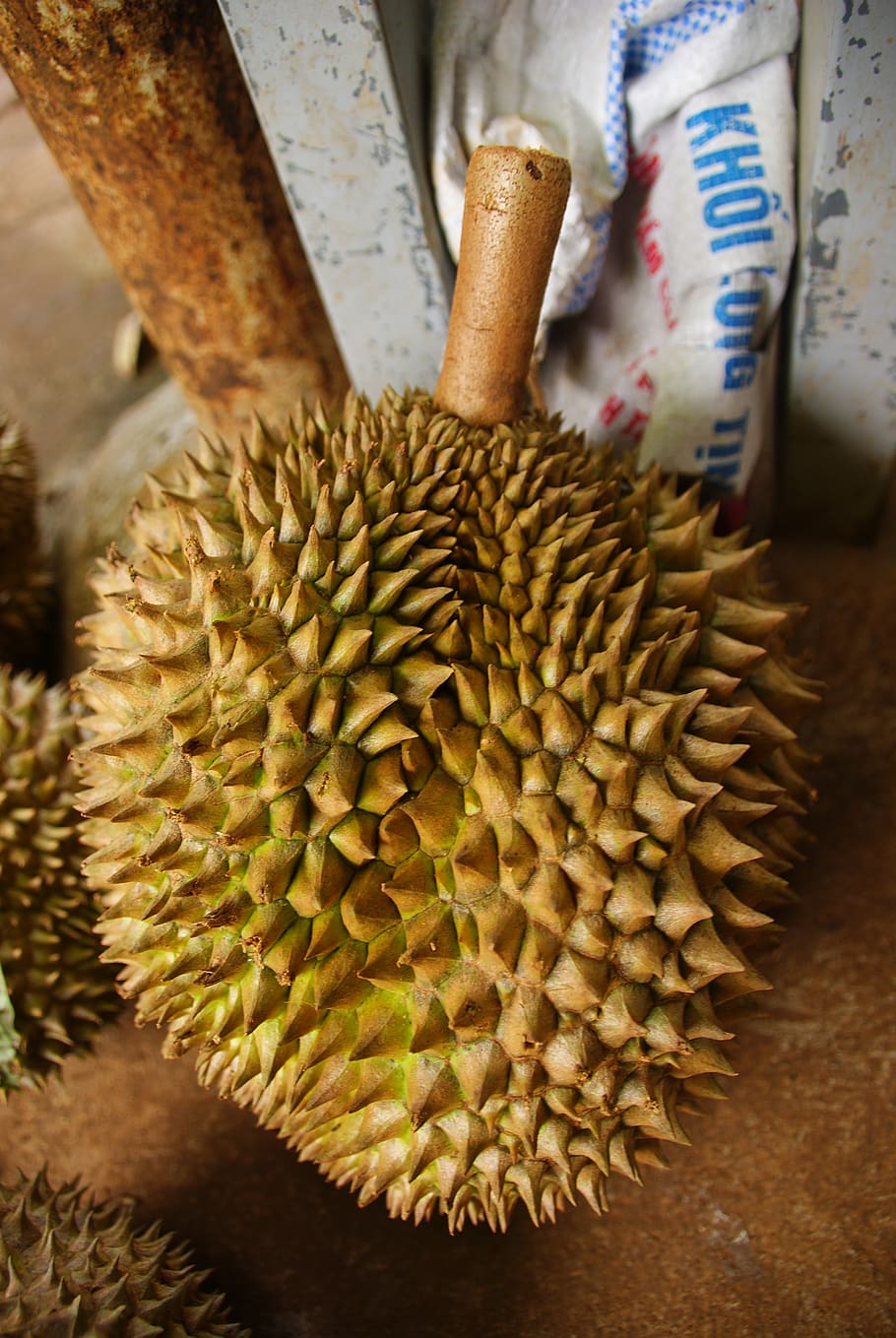 durian, exotic, fruit, tropical, asian, market, smelly, yellow, taste, food and drink