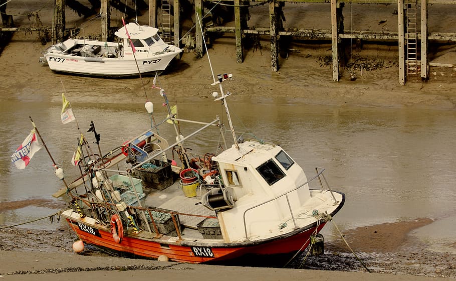 barcos, pesca, água, mar, oceano, peixe, embarcação, comercial, costa, pescador