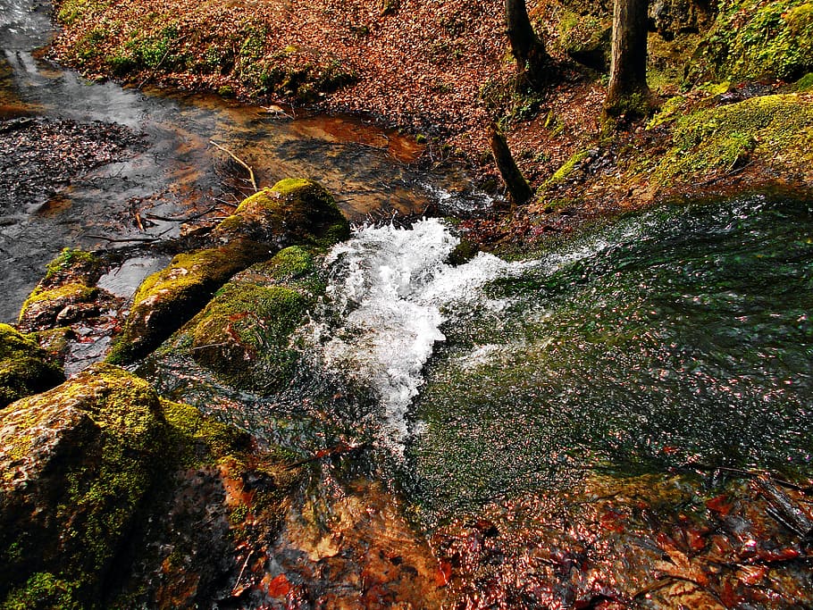 stream, valley będkowska, Stream, Valley, valley będkowska, valleys near cracow, water, the brook, landscape, nature, torrent