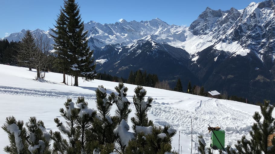 nieve, invierno, montaña, frío, naturaleza, Suiza, eggeberge, uri, invernal, magia de invierno