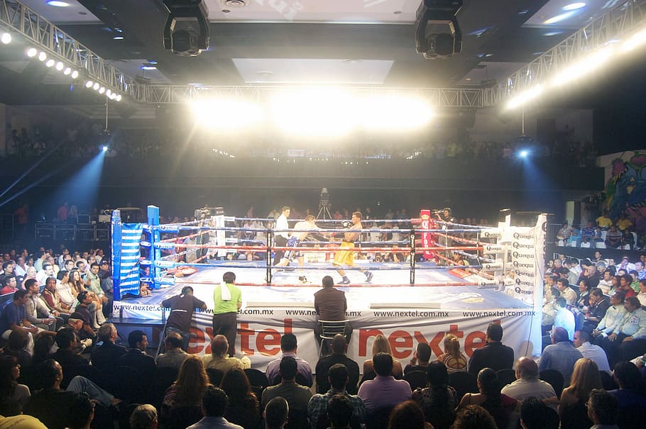 two, boxers, ring, surrounded, people, Box, Sport, Cancun, Boxing, Boxer