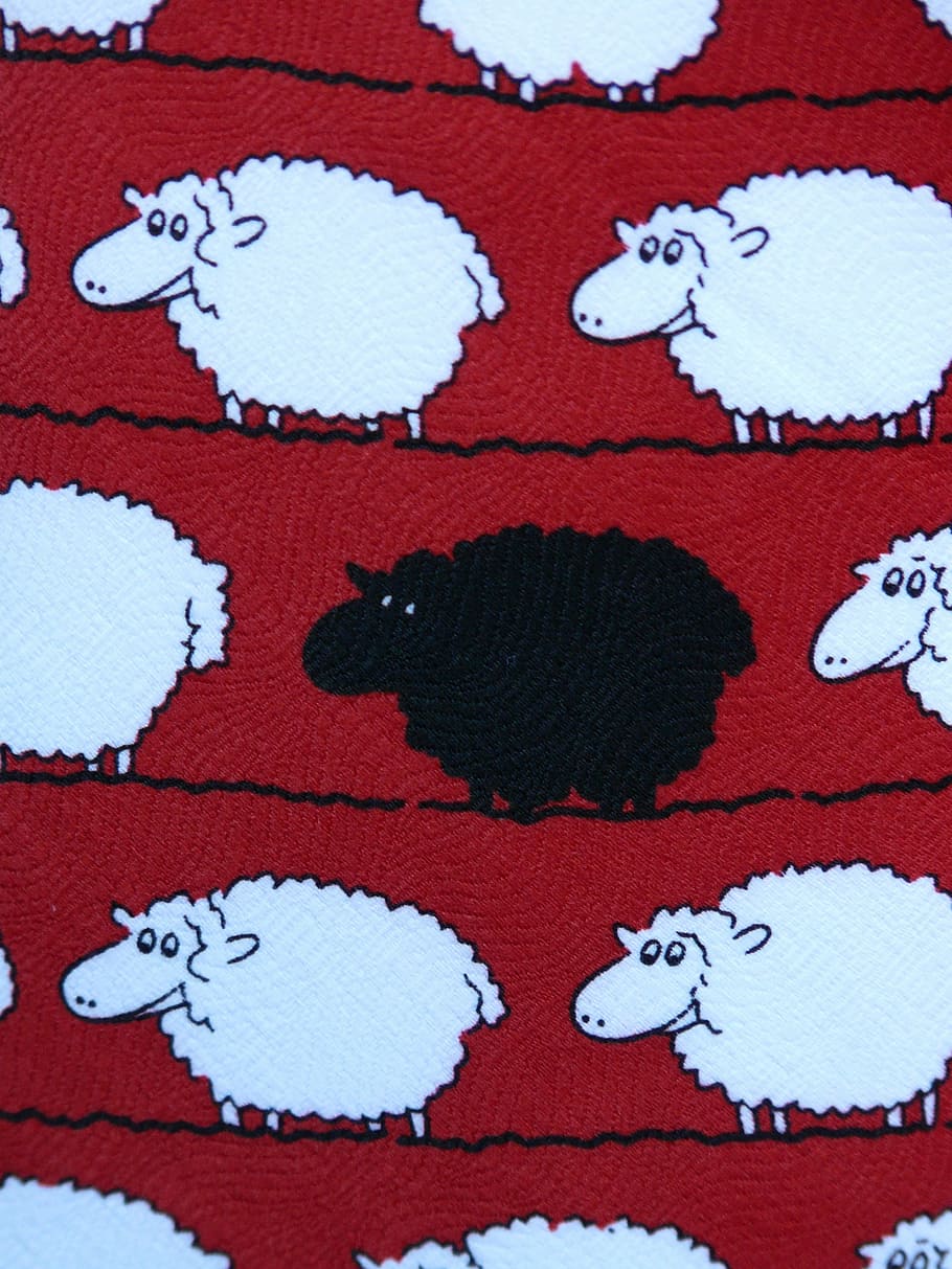 Black Sheep, Colorful, Color, sheep, fabric, animal, textile, pattern, backgrounds, blue