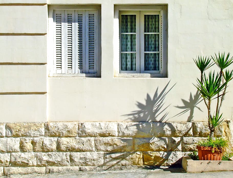 photography, green, plant, white, wall, shuttered windows, shutters, mediterranean house, windows, spiky plant