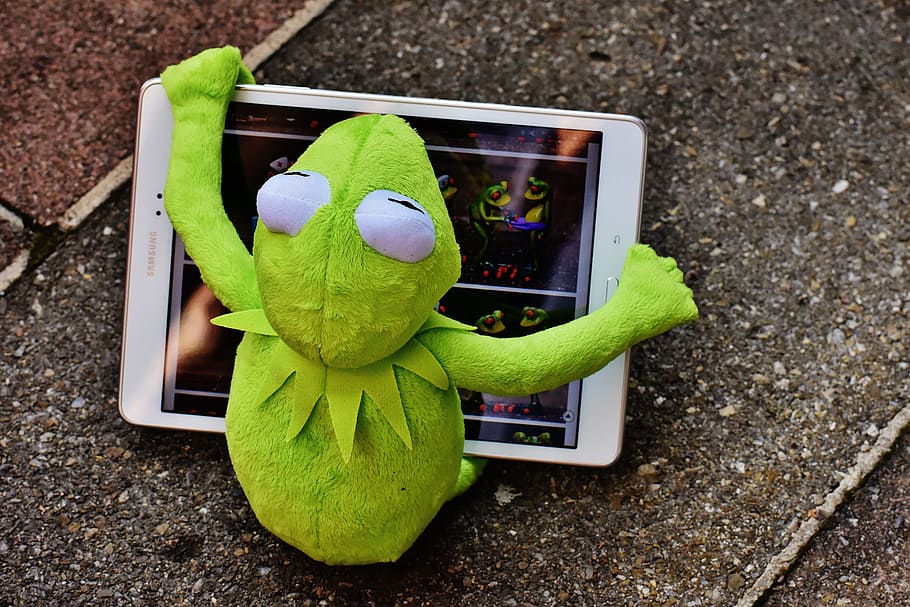 kermit, frog, tablet, computer, figure, soft toy, stuffed animal, funny, cute, technology