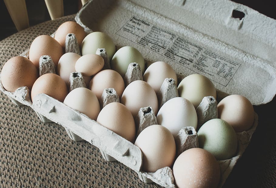 eggs, fresh eggs, food, breakfast, healthy, meal, cooking, organic, nutrition, ingredient