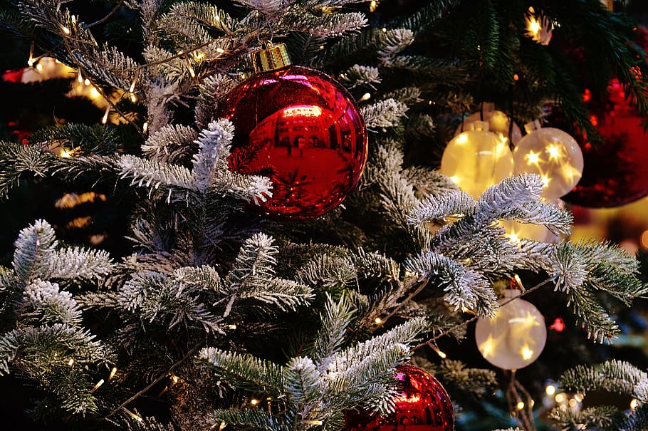 red, christmas bauble, tilt shift photography, christmas, christmas balls, christbaumkugeln, deco, decoration, advent, festive decorations